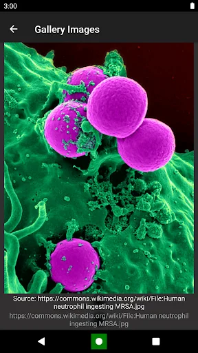 Bacteria: Types, Infections ডাউনলোড করুন – মাইক্রোবায়োলজি শিখুন - Screenshot 4