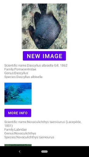 Fish Identifier অ্যাপ ডাউনলোড করুন – মাছের নাম ও তথ্য জানুন - Screenshot 9