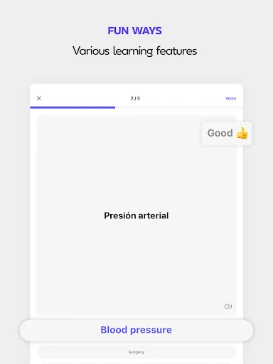 Onevoca – Flashcards ডাউনলোড করুন: সেরা ভোকাবুলারি লার্নিং অ্যাপ - Screenshot 14
