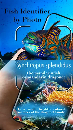 Aquarium Fish অ্যাপ ডাউনলোড করুন – মাছের যত্ন ও প্রজনন নির্দেশিকা - Screenshot 1