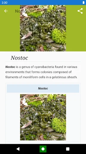 Bacteria: Types, Infections ডাউনলোড করুন – মাইক্রোবায়োলজি শিখুন - Screenshot 7