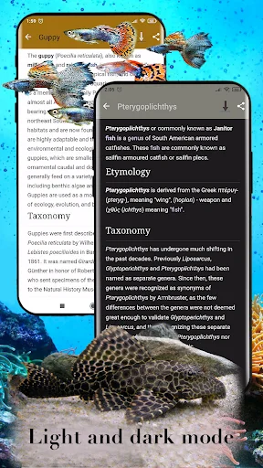Aquarium Fish অ্যাপ ডাউনলোড করুন – মাছের যত্ন ও প্রজনন নির্দেশিকা - Screenshot 5
