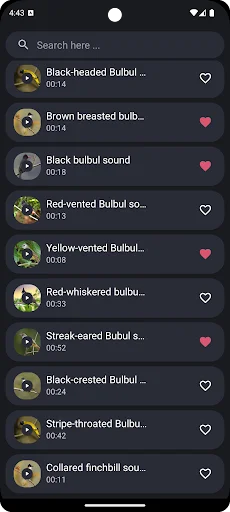 Bulbul Bird Sounds ডাউনলোড করুন – সেরা পাখির ডাক ও রিংটোন - Screenshot 4