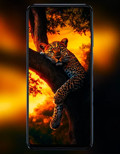 Motorola G Stylus 5G ওয়ালপেপার ডাউনলোড করুন – সেরা HD ওয়ালপেপার - Screenshot 5