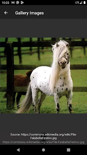 Horse Breeds – Photos ডাউনলোড করুন – ঘোড়ার জাতের বিস্তারিত তথ্য - Screenshot 7