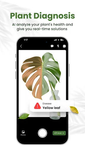Planty Life – উদ্ভিদ শনাক্তকরণ অ্যাপ ডাউনলোড করুন – সেরা কেয়ার টিপস - Screenshot 4