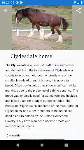 Horse Breeds – Photos ডাউনলোড করুন – ঘোড়ার জাতের বিস্তারিত তথ্য - Screenshot 6