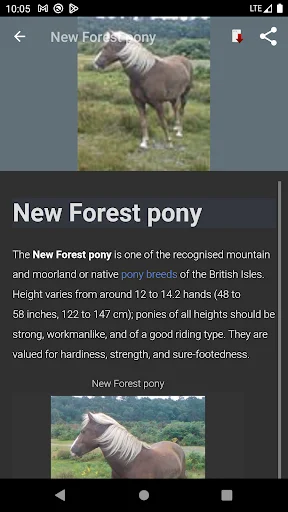Horse Breeds – Photos ডাউনলোড করুন – ঘোড়ার জাতের বিস্তারিত তথ্য - Screenshot 4
