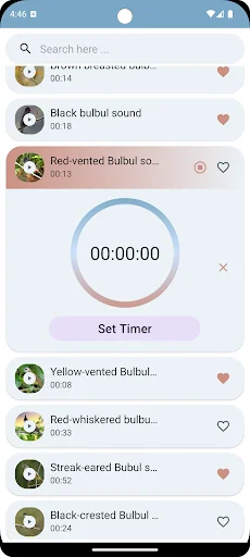 Bulbul Bird Sounds ডাউনলোড করুন – সেরা পাখির ডাক ও রিংটোন - Screenshot 6