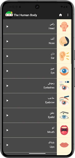 Learn Syrian Arabic ডাউনলোড করুন – সেরা সিরিয়ান আরবী শেখার অ্যাপ - Screenshot 6