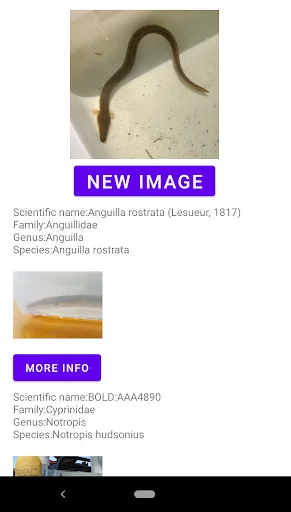Fish Identifier অ্যাপ ডাউনলোড করুন – মাছের নাম ও তথ্য জানুন - Screenshot 12