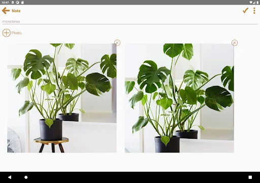 Photo Notes Plus ডাউনলোড করুন – ছবিসহ নোট রাখার সেরা অ্যাপ - Screenshot 14