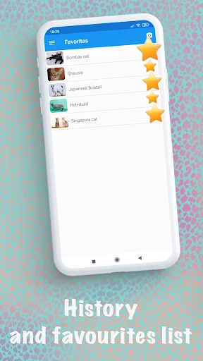 Cat breeds – Smart Identifier ডাউনলোড করুন – সেরা বিড়াল শনাক্তকারী অ্যাপ - Screenshot 8